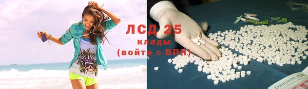 гидра Болохово