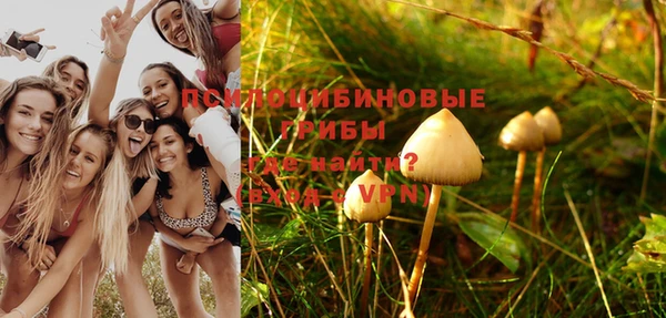 apvp Абинск