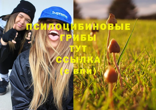 apvp Абинск